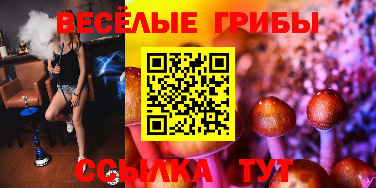 Галлюциногенные грибы Psilocybe Нефтеюганск