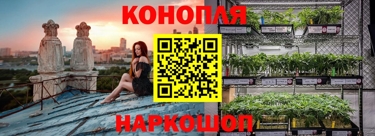 Марихуана OG Kush Нефтеюганск